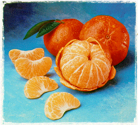 Toad Tangerines!